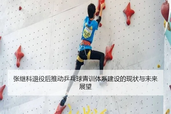 张继科退役后推动乒乓球青训体系建设的现状与未来展望